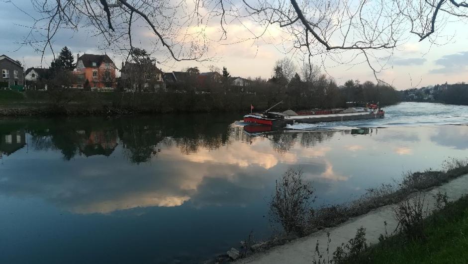 Les Pingouins De La Marne Bed and Breakfast Le Perreux-Sur-Marne Exteriör bild